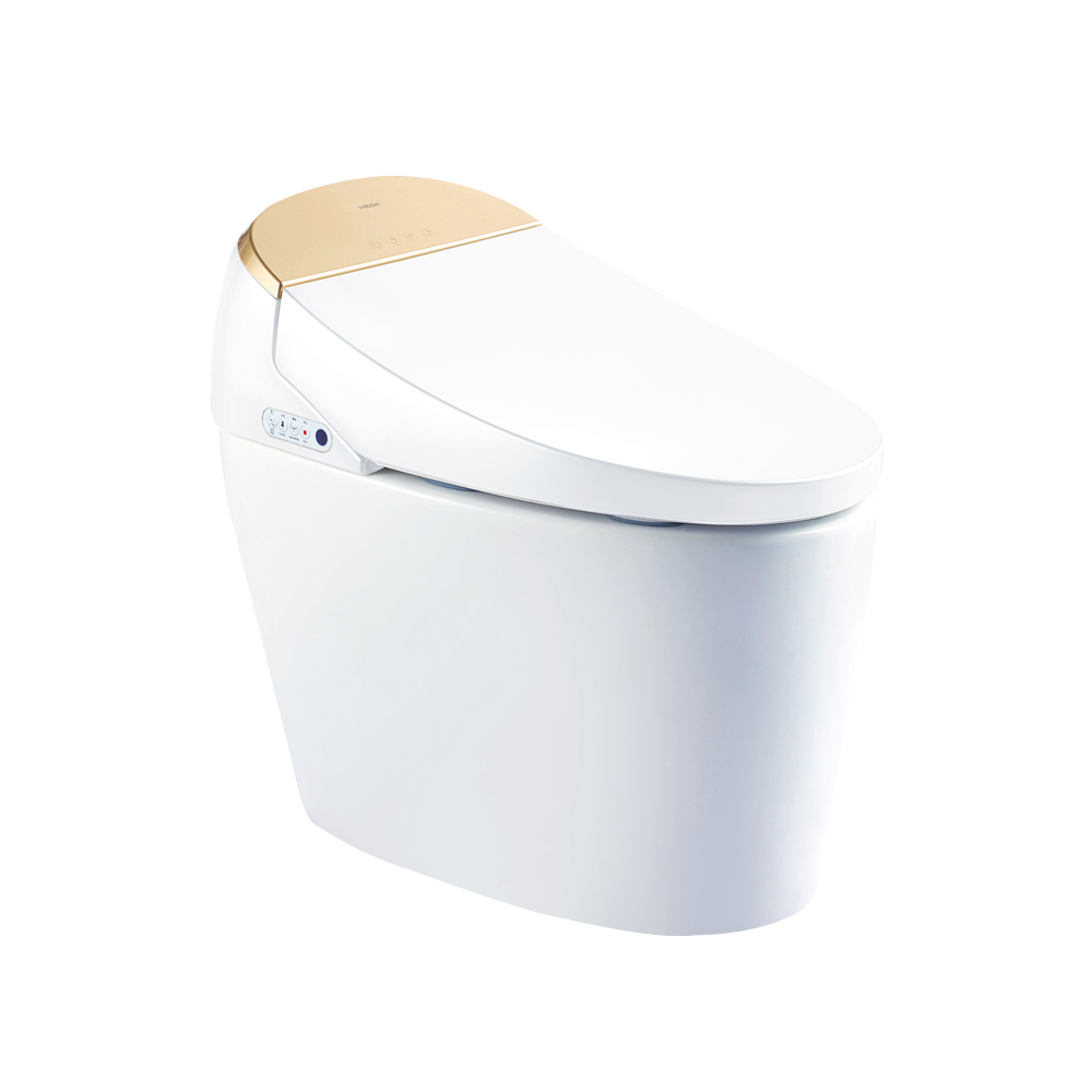 HCE808B01 Smart Toilet