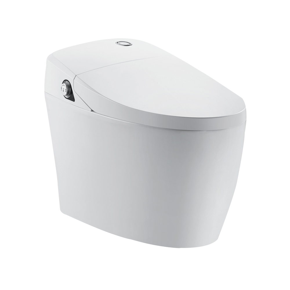 HCE98301 Smart Toilet