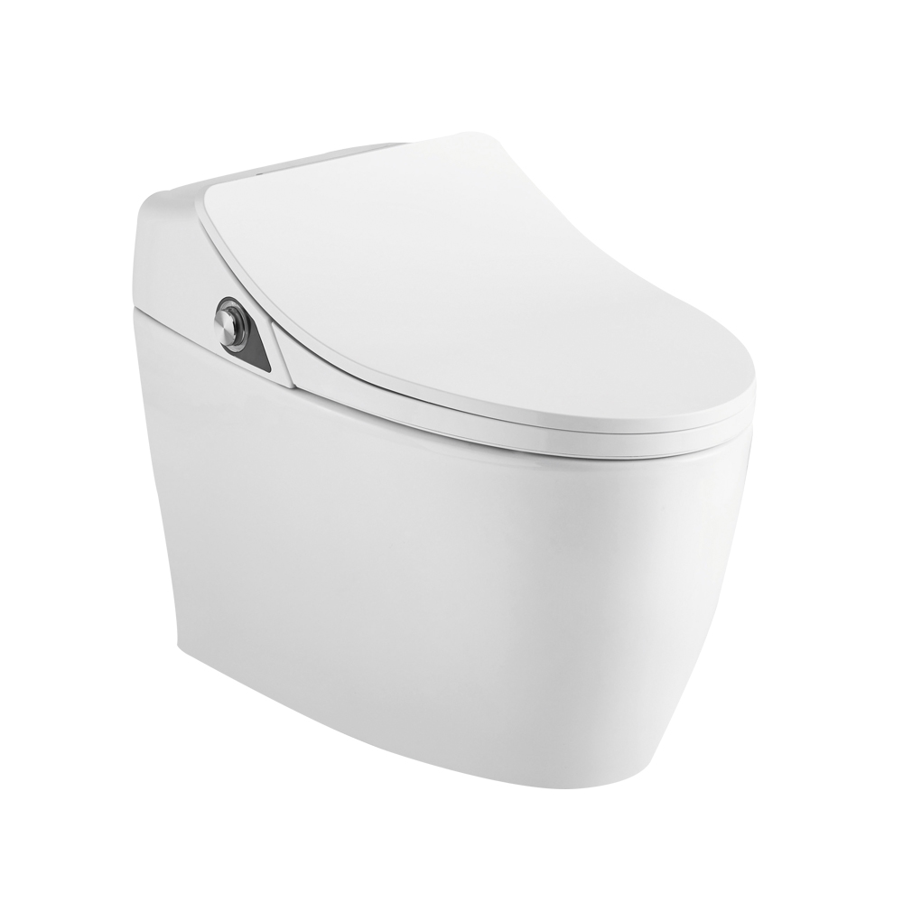 HCE98601 Smart Toilet